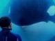 Blackfish Official Trailer