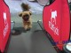 Dog  Digs  the  Treadmill..