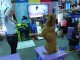 World Dog Expo Highlights..