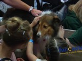 Dog Lovers Congregate at World Dog Expo