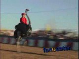 20th Annual Ostrich Festival from Chandler, AZ