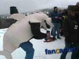 Displaced Land Shark Dances on  Whitefish Mountain