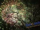 Fireworks at Midnight Run in Central Park