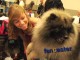 Journey is a Keeshond and..