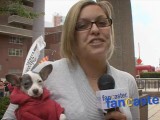 Buckeyes Liz and Brutus Visit Tribeca Family Festival