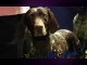 Bill Cosby's Dog
