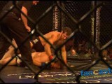 Mixed Martial Arts Highlights